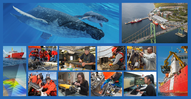 Institut Océanographique de Bedford, Le plus grand centre de recherches océaniques du Canada